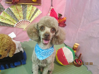 ファイル 5364-2.jpg