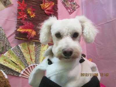 ファイル 5366-1.jpg