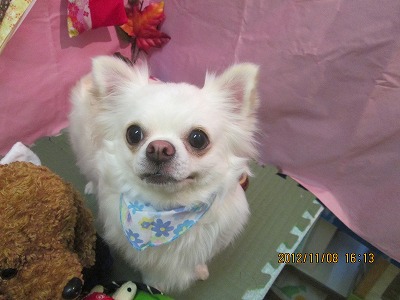 ファイル 5367-2.jpg