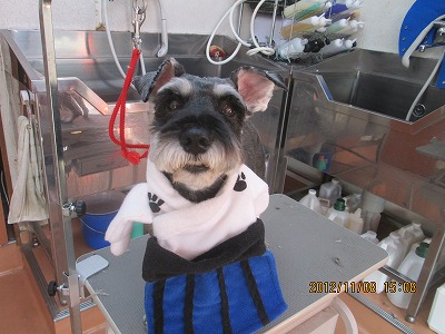 ファイル 5368-2.jpg