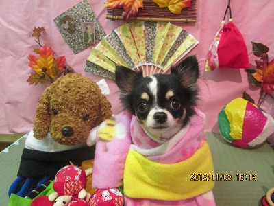 ファイル 5369-1.jpg