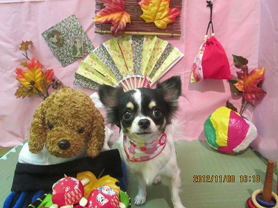 ファイル 5369-2.jpg