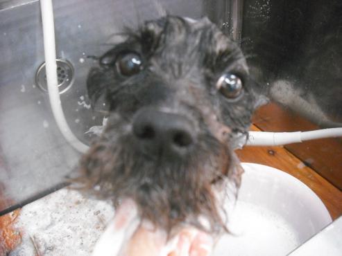 ファイル 537-2.jpg