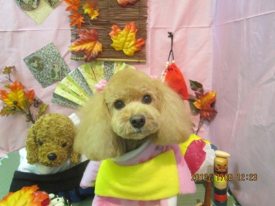 ファイル 5370-1.jpg