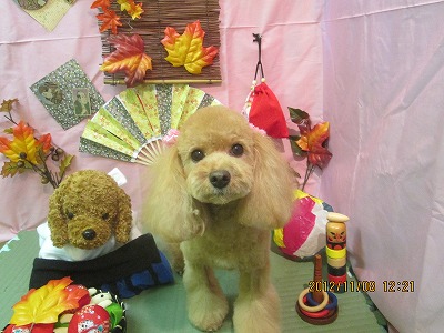 ファイル 5370-2.jpg