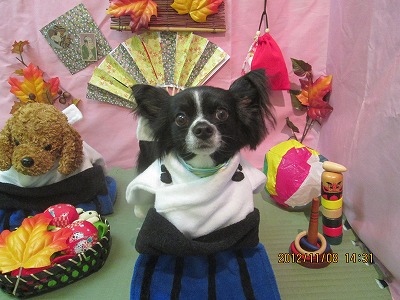 ファイル 5371-1.jpg