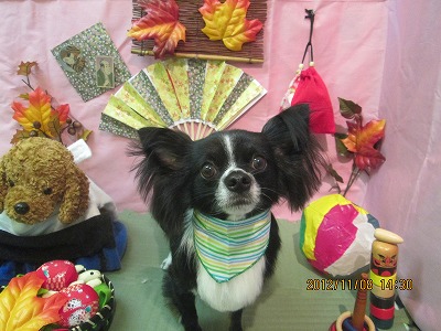 ファイル 5371-2.jpg