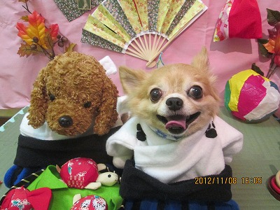 ファイル 5372-1.jpg