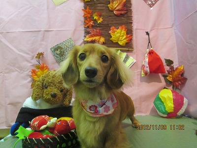 ファイル 5373-2.jpg