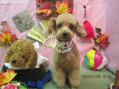 ファイル 5374-2.jpg