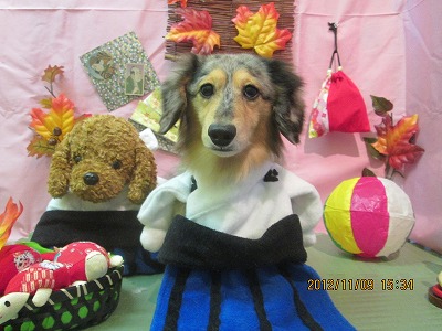 ファイル 5375-1.jpg