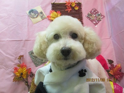 ファイル 5376-1.jpg