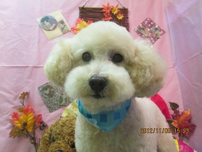 ファイル 5376-2.jpg