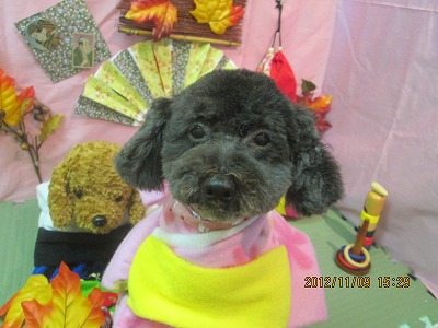 ファイル 5377-1.jpg