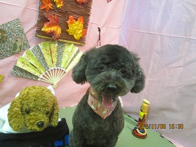 ファイル 5377-2.jpg