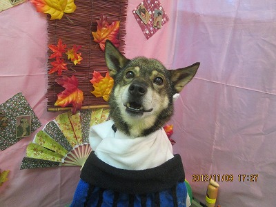 ファイル 5378-1.jpg