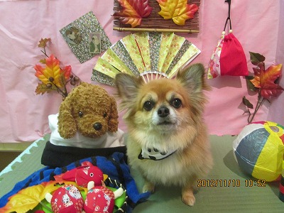 ファイル 5379-2.jpg