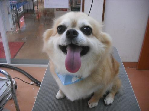 ファイル 538-1.jpg