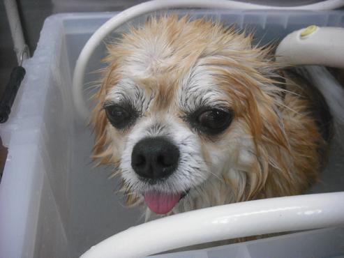 ファイル 538-2.jpg