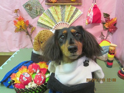 ファイル 5380-1.jpg