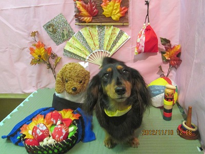 ファイル 5380-2.jpg