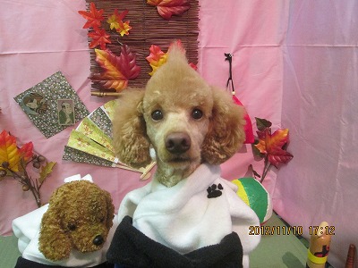 ファイル 5382-1.jpg