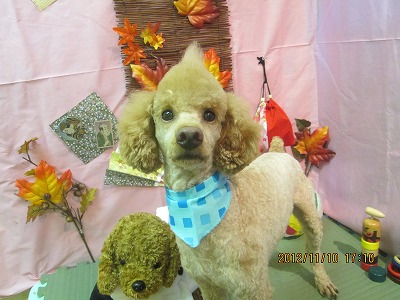 ファイル 5382-2.jpg