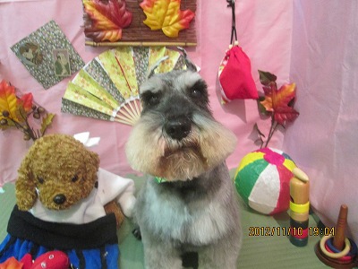 ファイル 5383-1.jpg