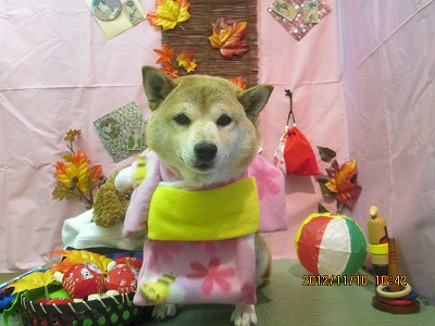 ファイル 5384-1.jpg