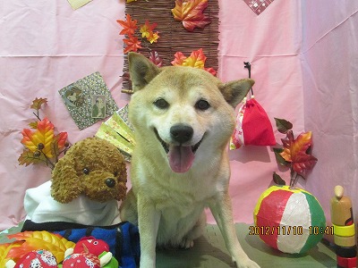 ファイル 5384-2.jpg