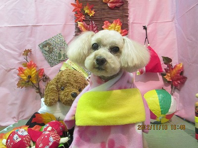 ファイル 5386-1.jpg