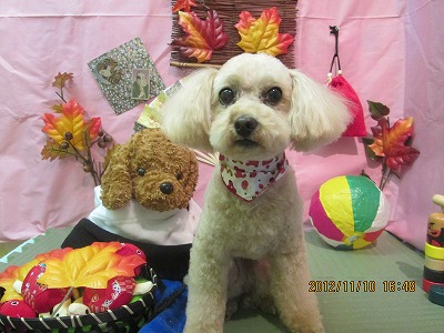 ファイル 5386-2.jpg