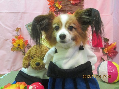 ファイル 5387-1.jpg