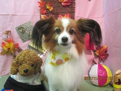 ファイル 5387-2.jpg