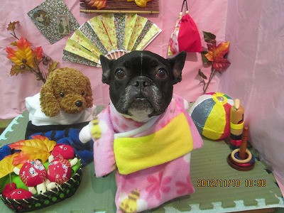 ファイル 5388-1.jpg