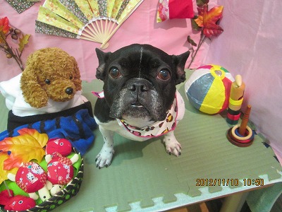 ファイル 5388-2.jpg