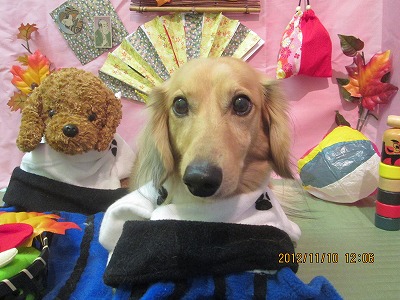 ファイル 5389-1.jpg