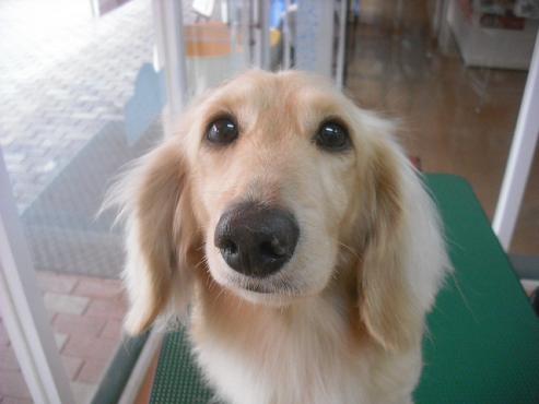 ファイル 539-1.jpg