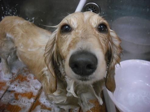 ファイル 539-2.jpg