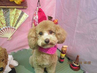 ファイル 5390-2.jpg