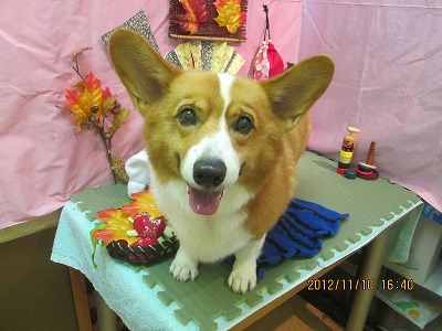 ファイル 5391-1.jpg