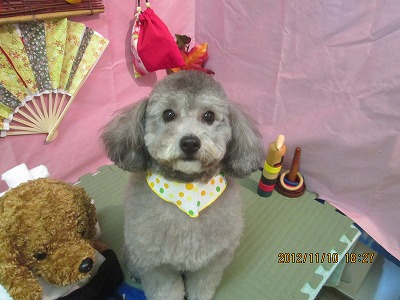 ファイル 5392-2.jpg