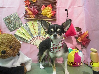 ファイル 5393-2.jpg