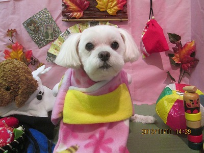 ファイル 5394-1.jpg