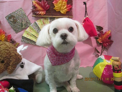 ファイル 5394-2.jpg