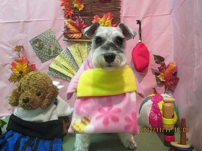 ファイル 5396-1.jpg