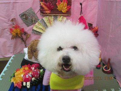 ファイル 5397-1.jpg