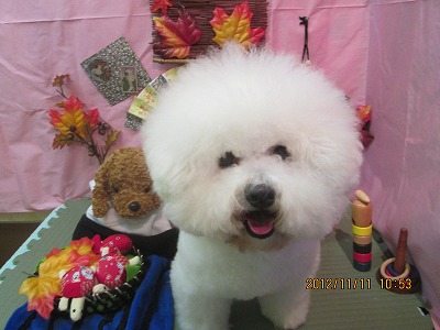 ファイル 5397-2.jpg