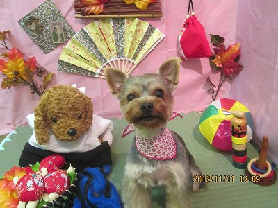 ファイル 5398-2.jpg