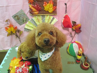 ファイル 5399-2.jpg